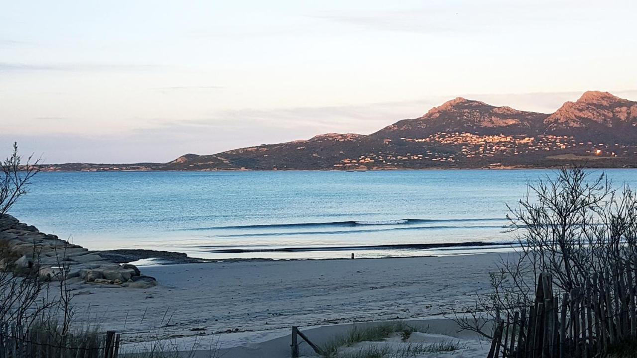 Studio Proche De La Mer Calvi  Zewnętrze zdjęcie
